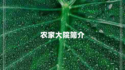 農(nóng)家大院簡(jiǎn)介
