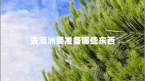 去澳洲要準(zhǔn)備哪些東西