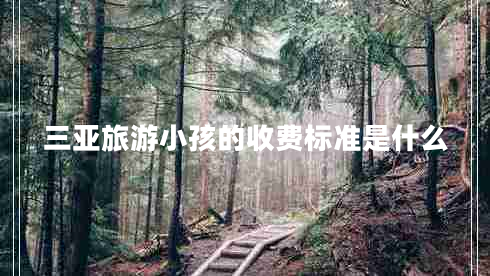 三亞旅游小孩的收費標準是什么