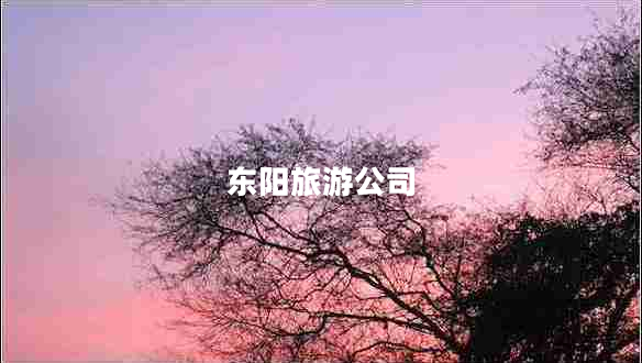 東陽旅游公司