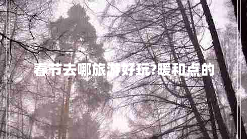 春節(jié)去哪旅游好玩?暖和點(diǎn)的 春節(jié)去哪旅游好玩?暖和點(diǎn)的