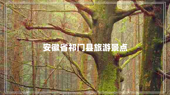 安徽省祁門縣旅游景點(diǎn) 安徽省祁門縣旅游景點(diǎn)