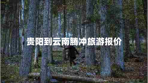 貴陽到云南騰沖旅游報價