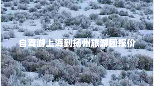 自駕游上海到揚(yáng)州旅游團(tuán)報(bào)價(jià)