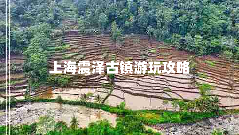 上海震澤古鎮(zhèn)游玩攻略