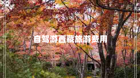 自駕游西藏旅游費用 自駕游西藏旅游費用