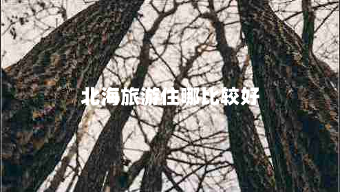 北海旅游住哪比較好