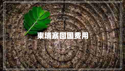 柬埔寨回國費用