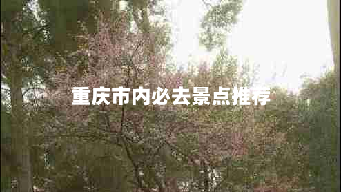 重慶市內必去景點推薦 重慶市內必去景點推薦