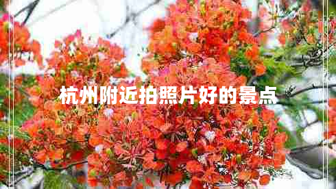 杭州附近拍照片好的景點