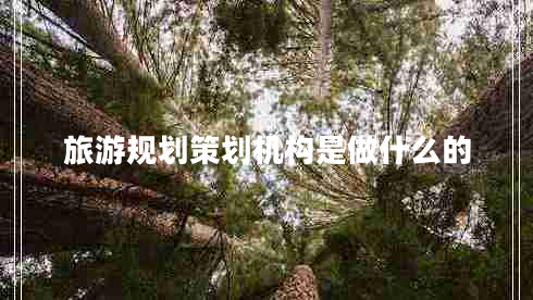 旅游規(guī)劃策劃機構(gòu)是做什么的 旅游規(guī)劃策劃機構(gòu)是做什么的