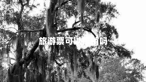 旅游票可以報(bào)銷(xiāo)嗎