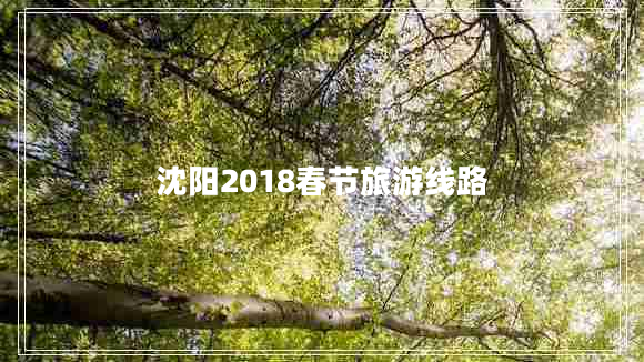 沈陽2018春節(jié)旅游線路