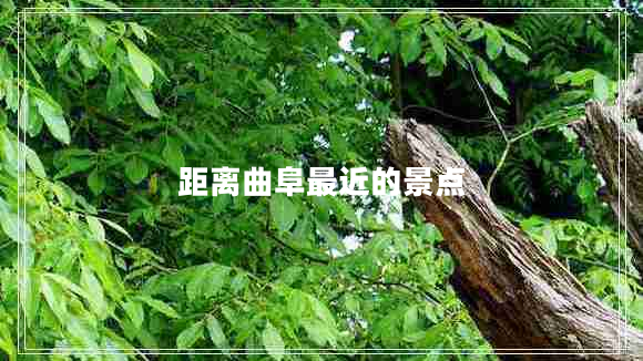 距離曲阜最近的景點(diǎn)