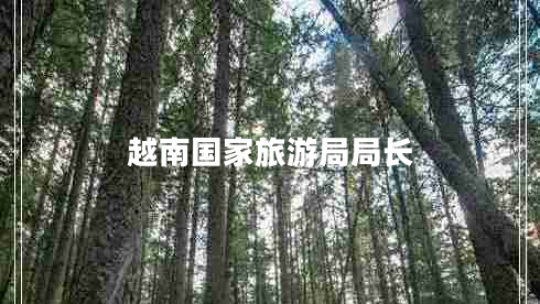 越南國家旅游局局長