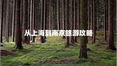 從上海到南京旅游攻略
