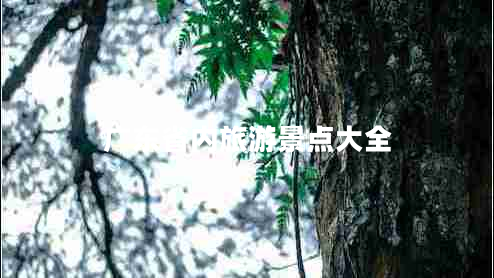 廣東省內(nèi)旅游景點大全 廣東省內(nèi)旅游景點大全