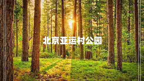 北京亞運(yùn)村公園 北京亞運(yùn)村公園