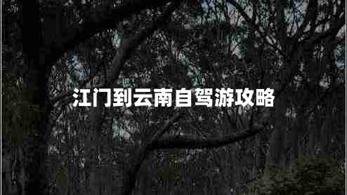 江門到云南自駕游攻略 江門到云南自駕游攻略