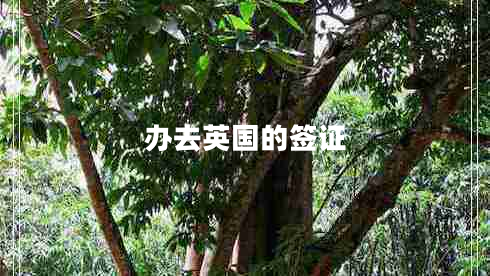 辦去英國的簽證 辦去英國的簽證