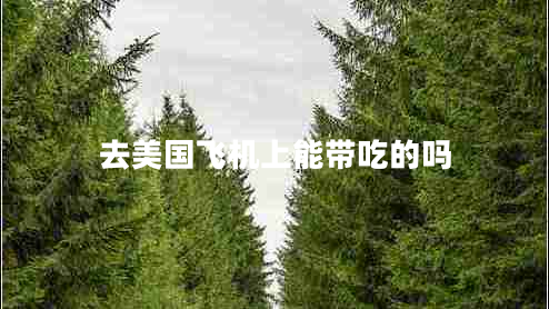 去美國飛機(jī)上能帶吃的嗎