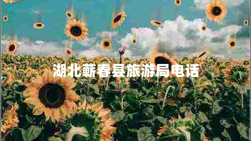 湖北蘄春縣旅游局電話 湖北蘄春縣旅游局電話