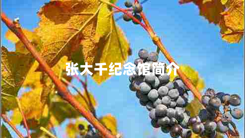 張大千紀(jì)念館簡介 張大千紀(jì)念館簡介