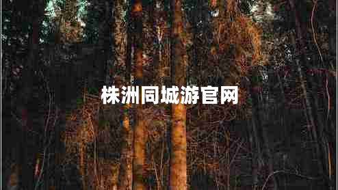 株洲同城游官網(wǎng)