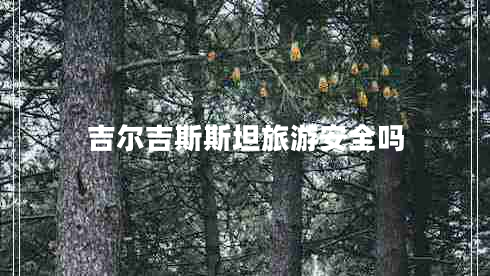 吉爾吉斯斯坦旅游安全嗎 吉爾吉斯斯坦旅游安全嗎