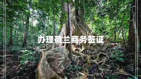 辦理荷蘭商務(wù)簽證