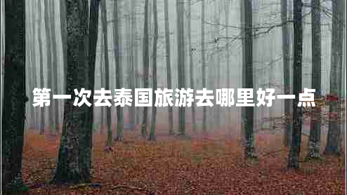 第一次去泰國旅游去哪里好一點 第一次去泰國旅游去哪里好一點