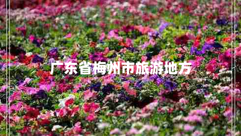 廣東省梅州市旅游地方