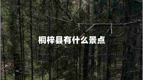 桐梓縣有什么景點(diǎn)