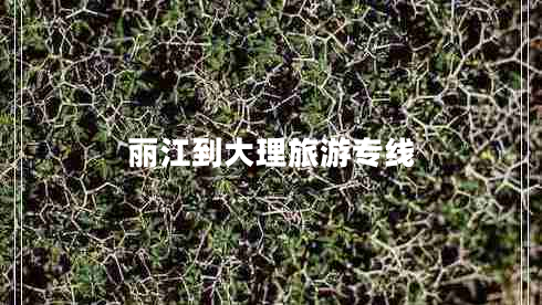 麗江到大理旅游專(zhuān)線(xiàn) 麗江到大理旅游專(zhuān)線(xiàn)