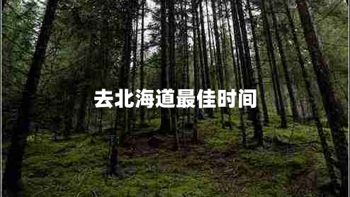 去北海道最佳時(shí)間