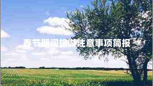 春節(jié)期間旅游注意事項簡報