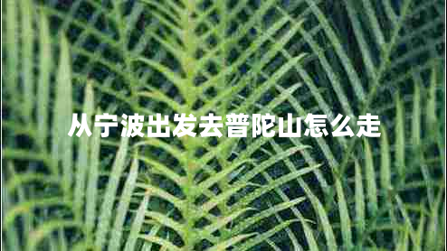 從寧波出發(fā)去普陀山怎么走