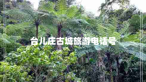 臺兒莊古城旅游電話號 臺兒莊古城旅游電話號