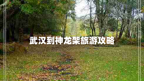 武漢到神龍架旅游攻略 武漢到神龍架旅游攻略