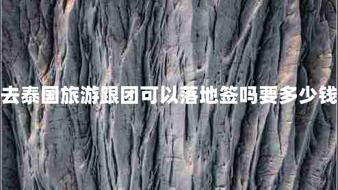 去泰國(guó)旅游跟團(tuán)可以落地簽嗎要多少錢(qián)