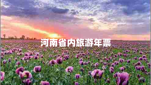 河南省內(nèi)旅游年票 河南省內(nèi)旅游年票
