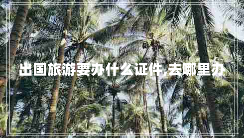 出國旅游要辦什么證件,去哪里辦