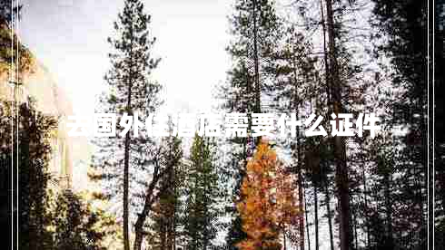 去國(guó)外住酒店需要什么證件