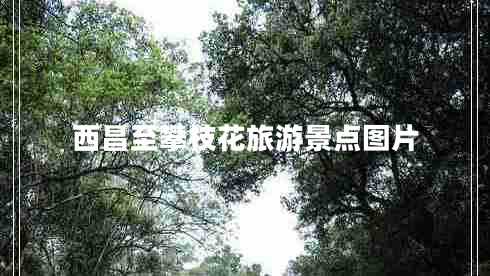 西昌至攀枝花旅游景點圖片