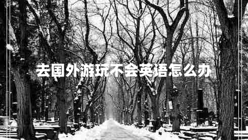 去國(guó)外游玩不會(huì)英語(yǔ)怎么辦 去國(guó)外游玩不會(huì)英語(yǔ)怎么辦