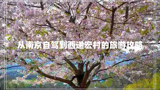 從南京自駕到西遞宏村的旅游攻略