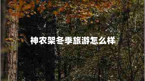 神農(nóng)架冬季旅游怎么樣