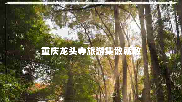 重慶龍頭寺旅游集散就散