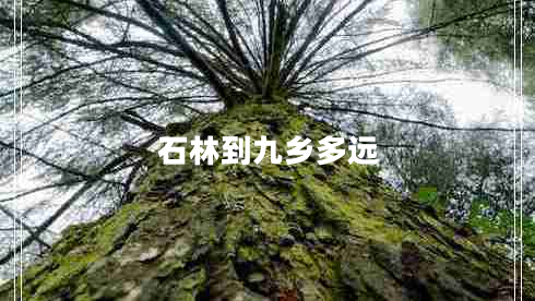 石林到九鄉(xiāng)多遠(yuǎn)