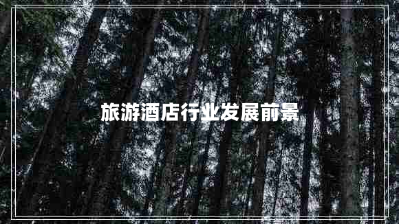 旅游酒店行業(yè)發(fā)展前景 旅游酒店行業(yè)發(fā)展前景